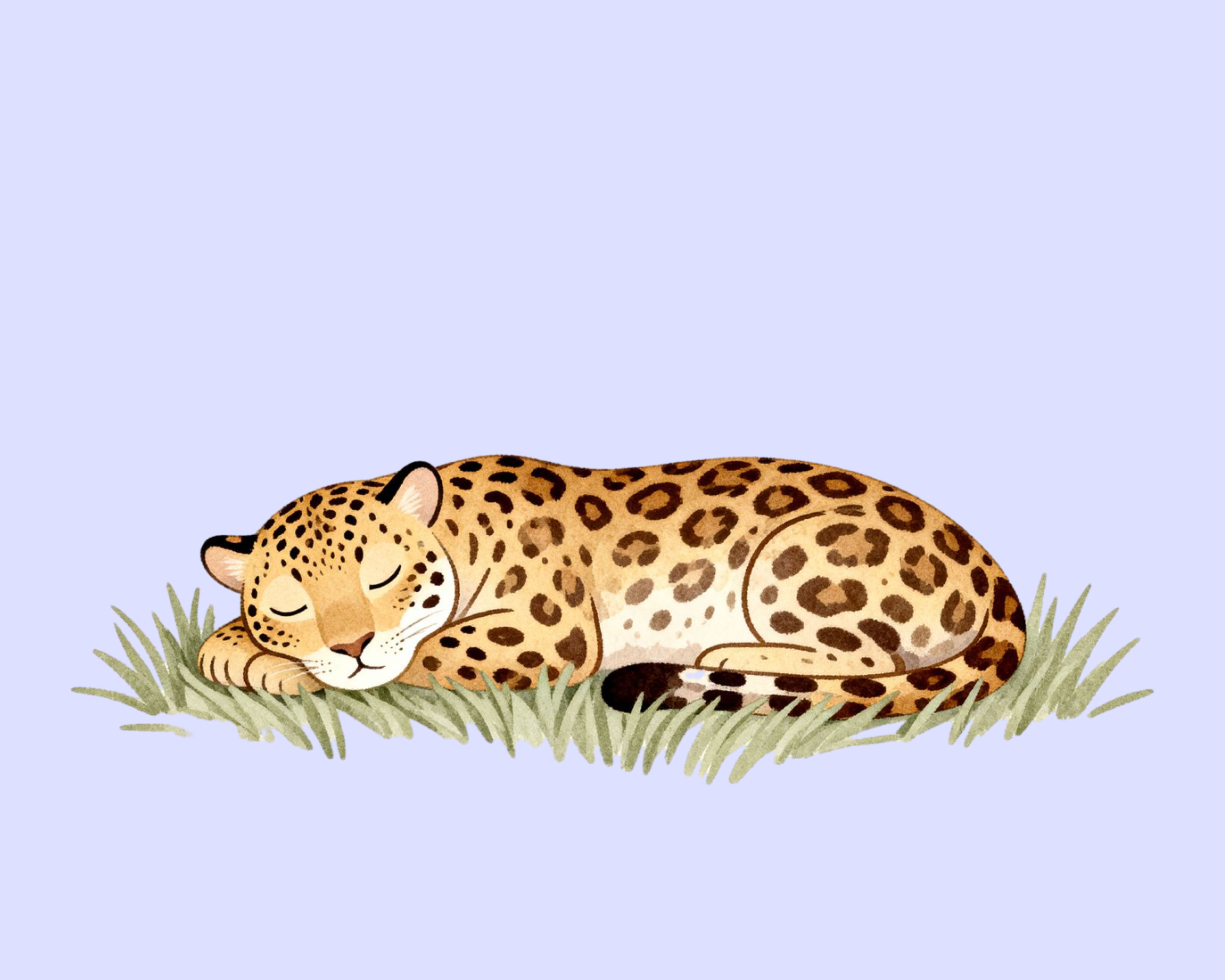 Sleepy Jaguar