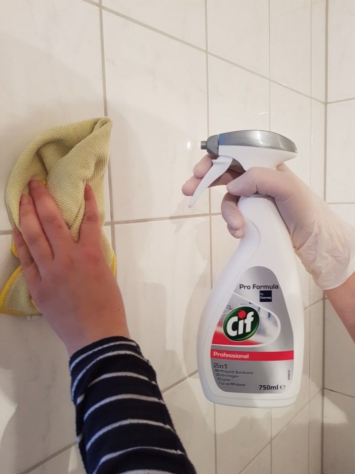 Kundenerfahrung: Cif Professional Badreiniger 2in1