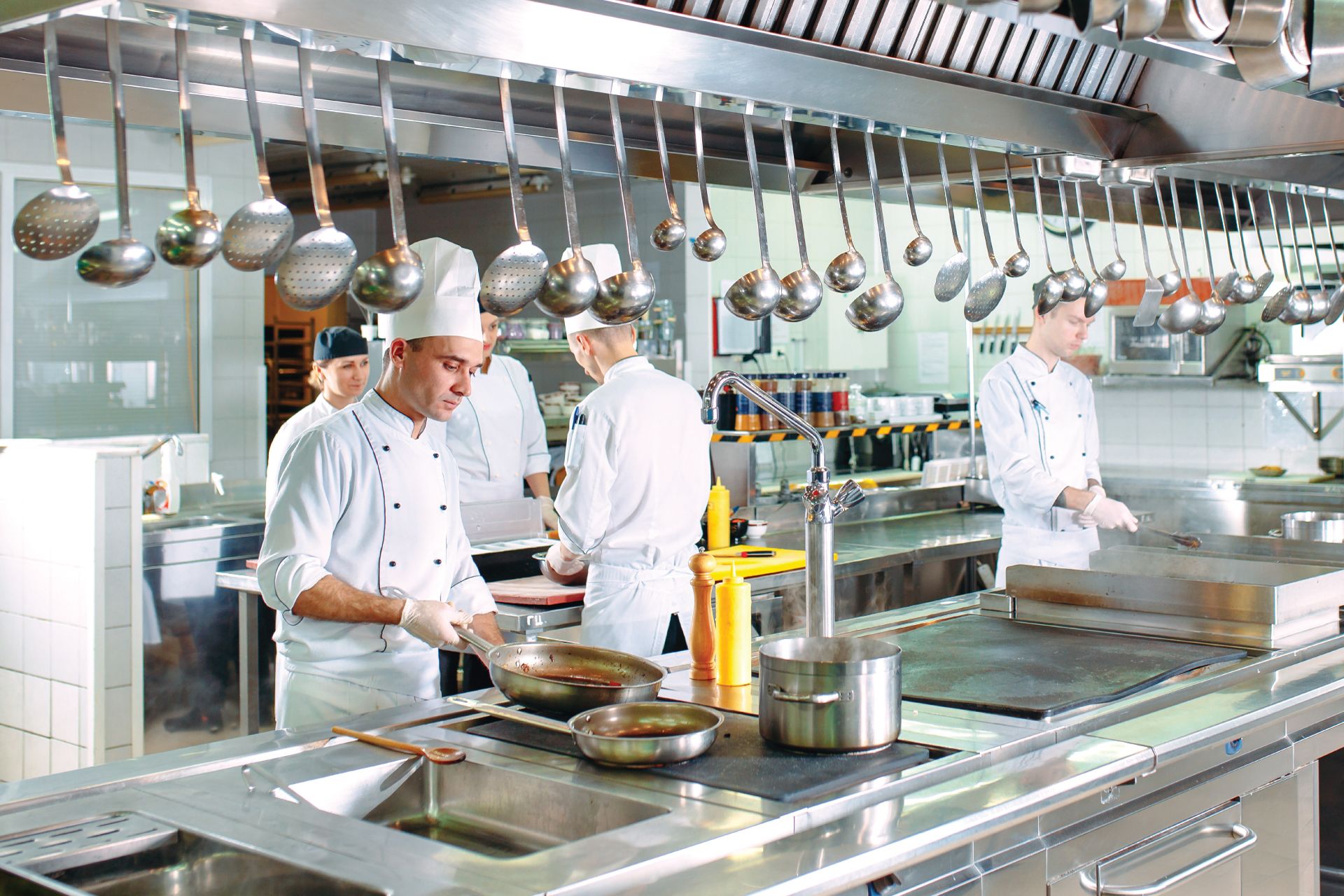 Descoperă noile lansări Pro Formula, adaptate pentru orice spațiu! 