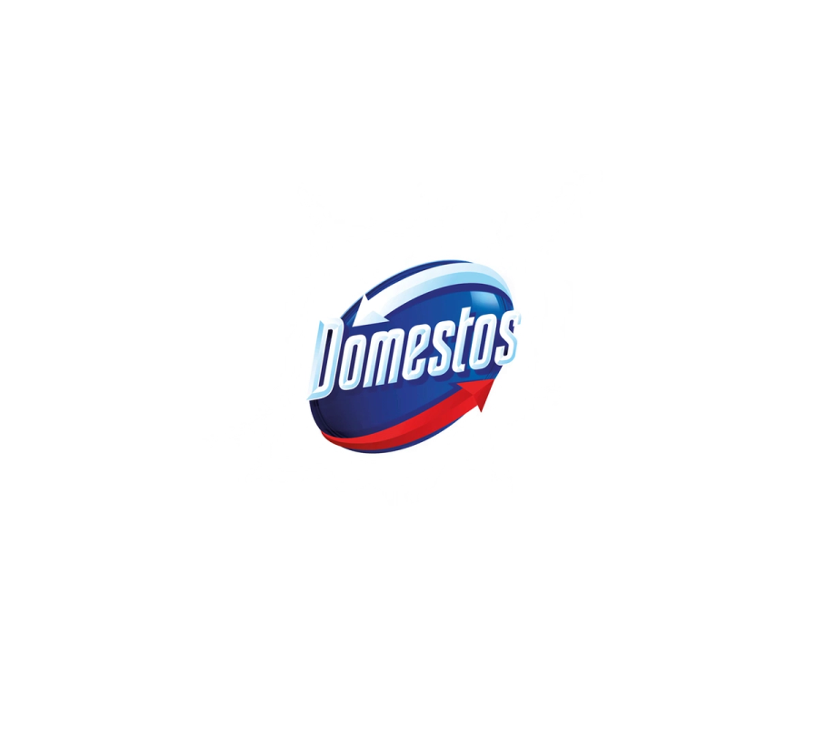 Domestos Professional