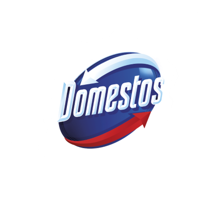 Domestos Professional