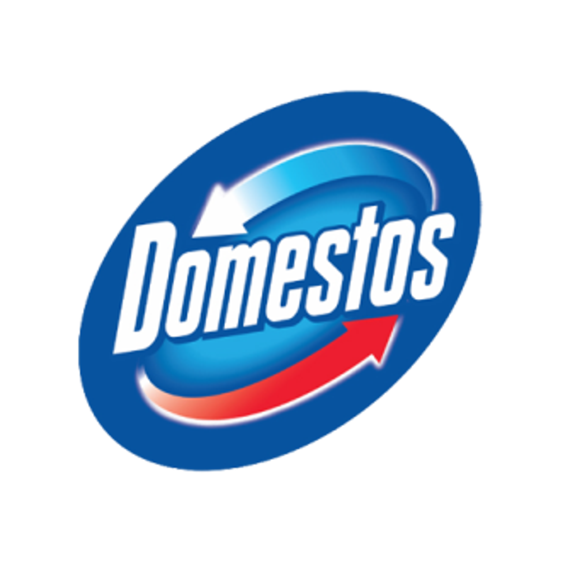 A Domestos Professionalről