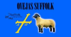 Logo de OVEJAS SUFFOLK SIERO