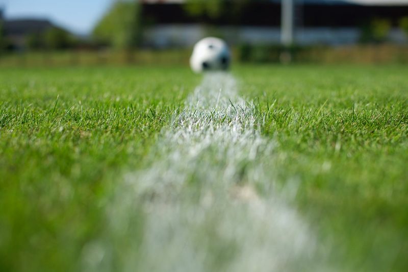 METODOLOGÍA DE ENTRENAMIENTO