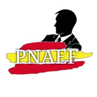 PNAEF (Plataforma Nacional de Ayuda al Entrenador de Fútbol)