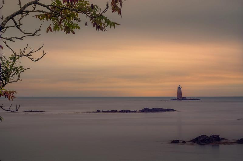 Whaleback lighthouse in the distance from Fort Foster with gray skies and golden sunset light with a close up tree framing it
