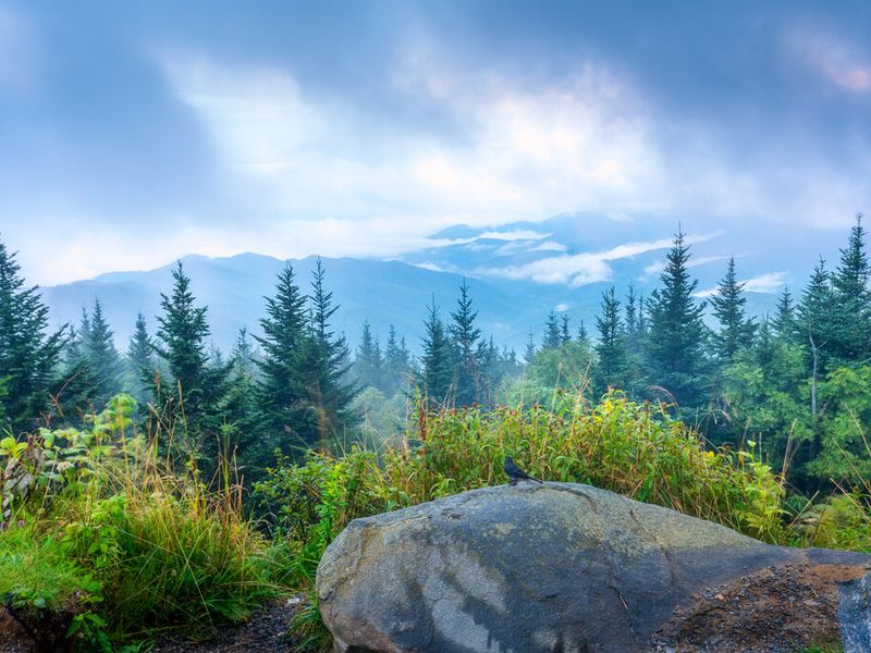 National Parks