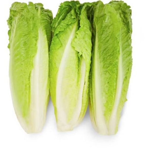Fresh Romaine Lettuce Hearts, 3 Count