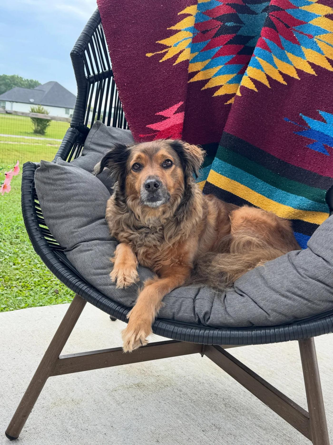 The finished patio set, put right to use