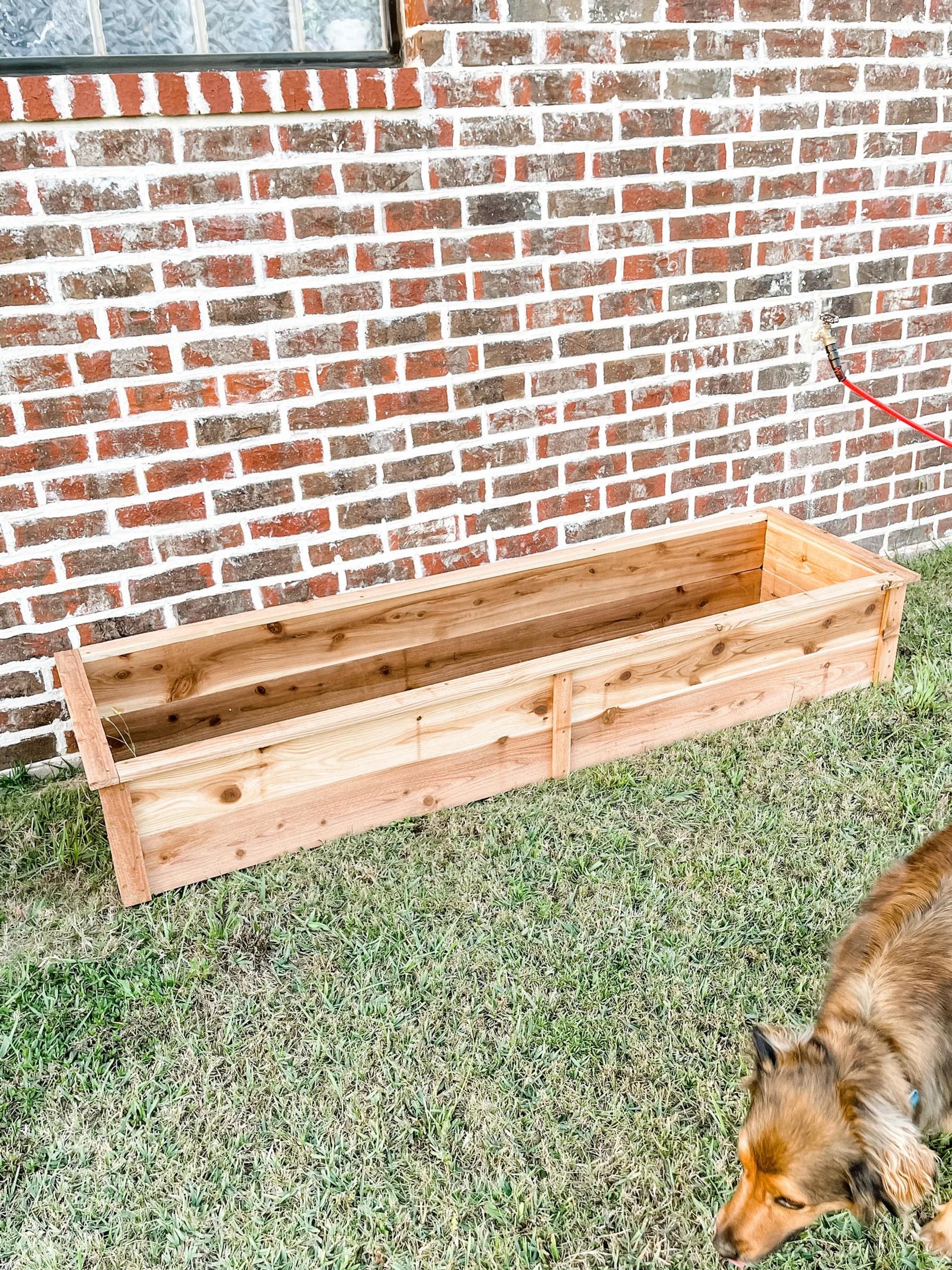 A freshly built untreated cedar raised garden bed against a brick wall