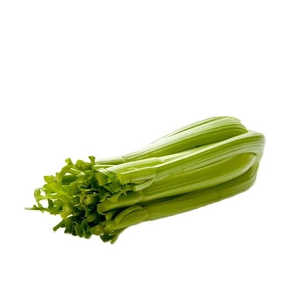 Fresh Celery