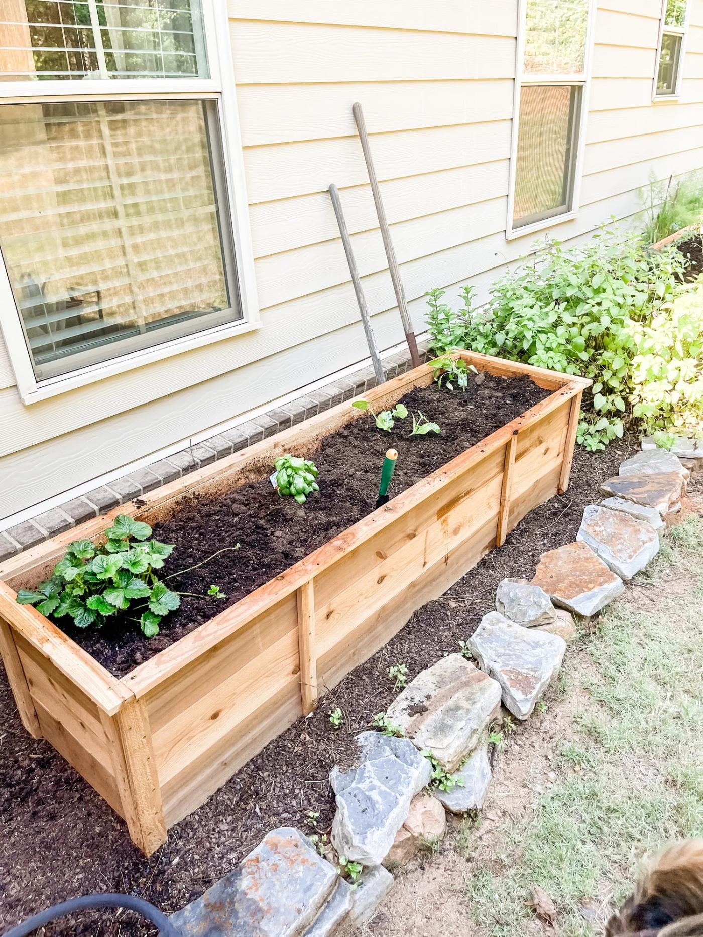 A larger raised bed built with the same method
