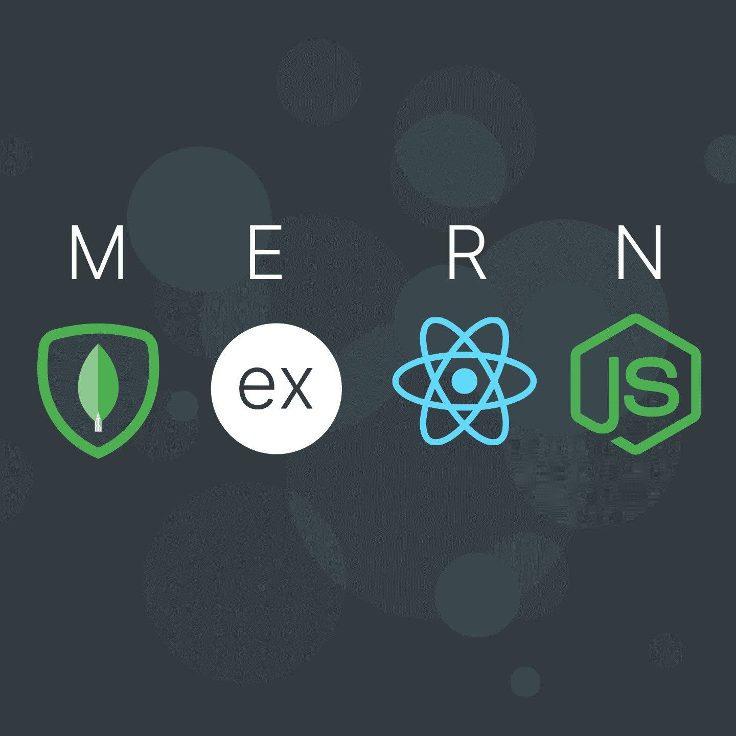 MERN Stack