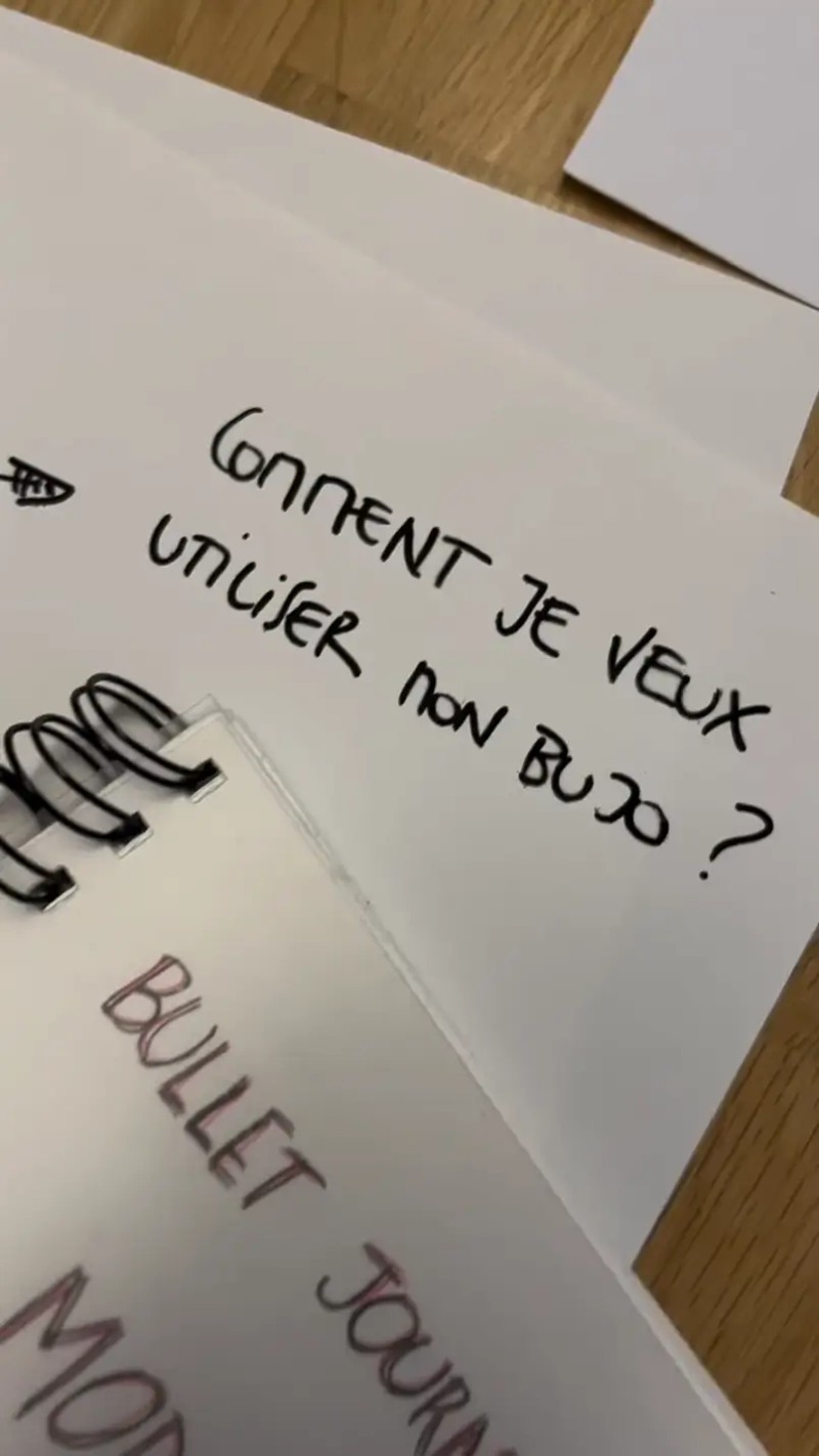 Sophie Stern - exemple comment utiliser son bujo ?