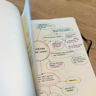 Entre Terre et Ciel - carnet bujo avec une mindmap