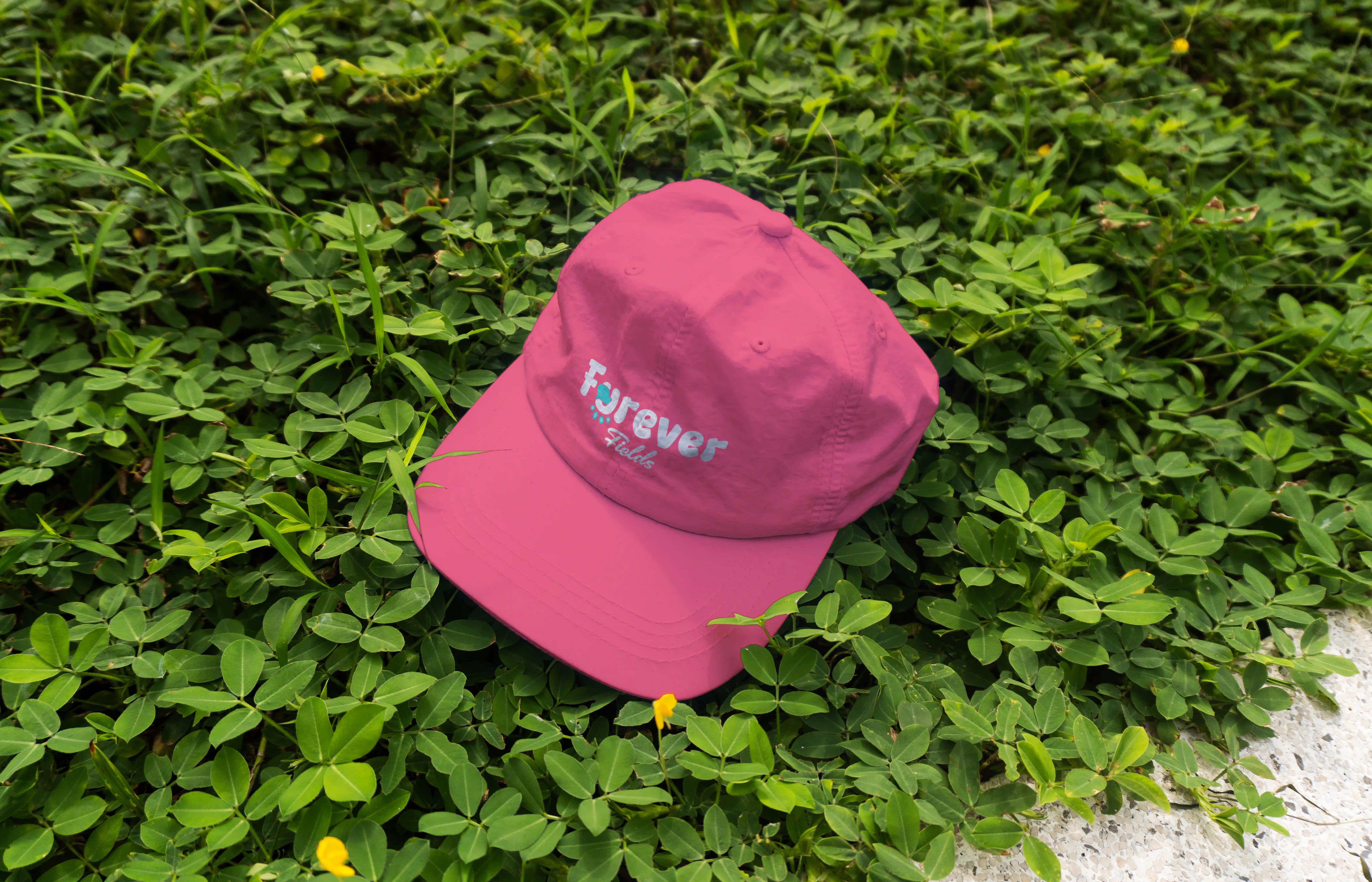 Furever — Overview 3
