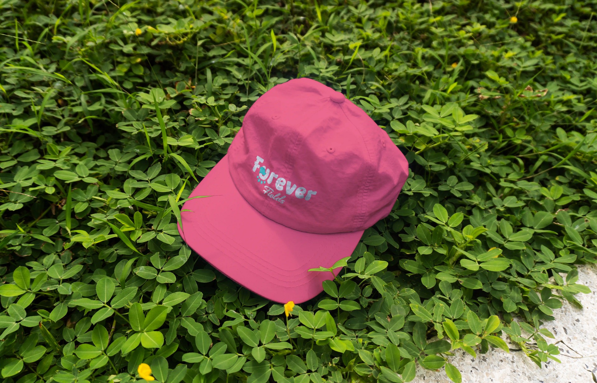 Furever — Overview 3
