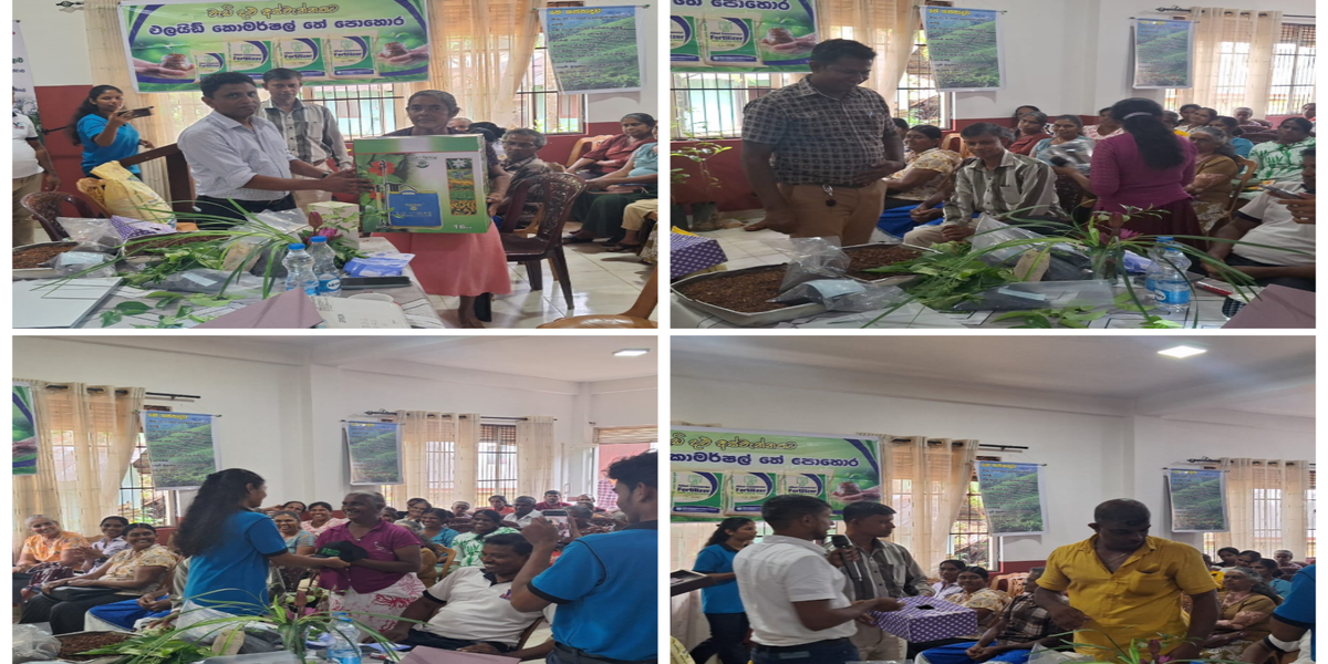 Sihara Tea Factory Program