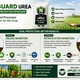 Allied N-Guard Urea