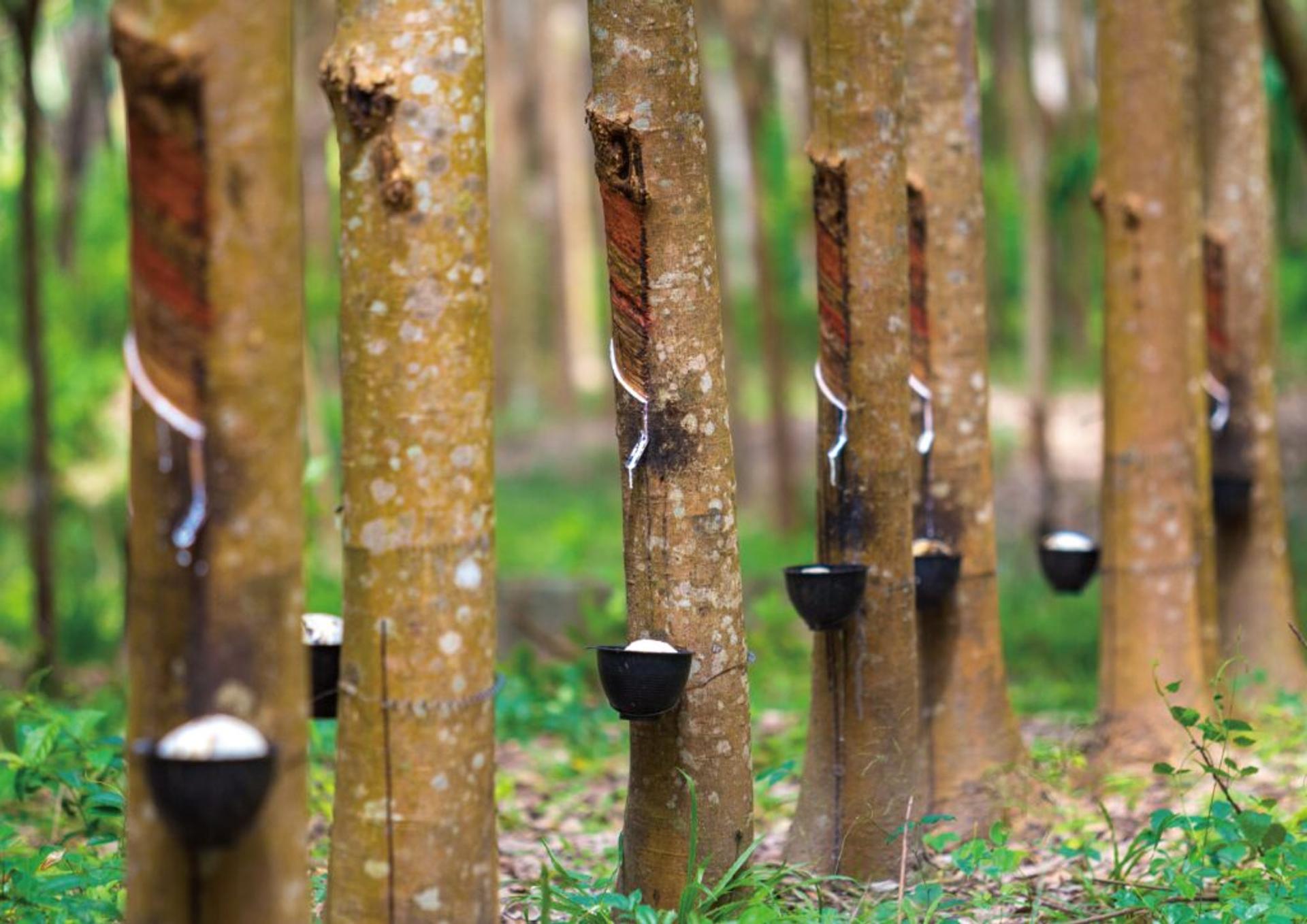 乳膠床墊推薦排行榜TOP10【2026年最新版】