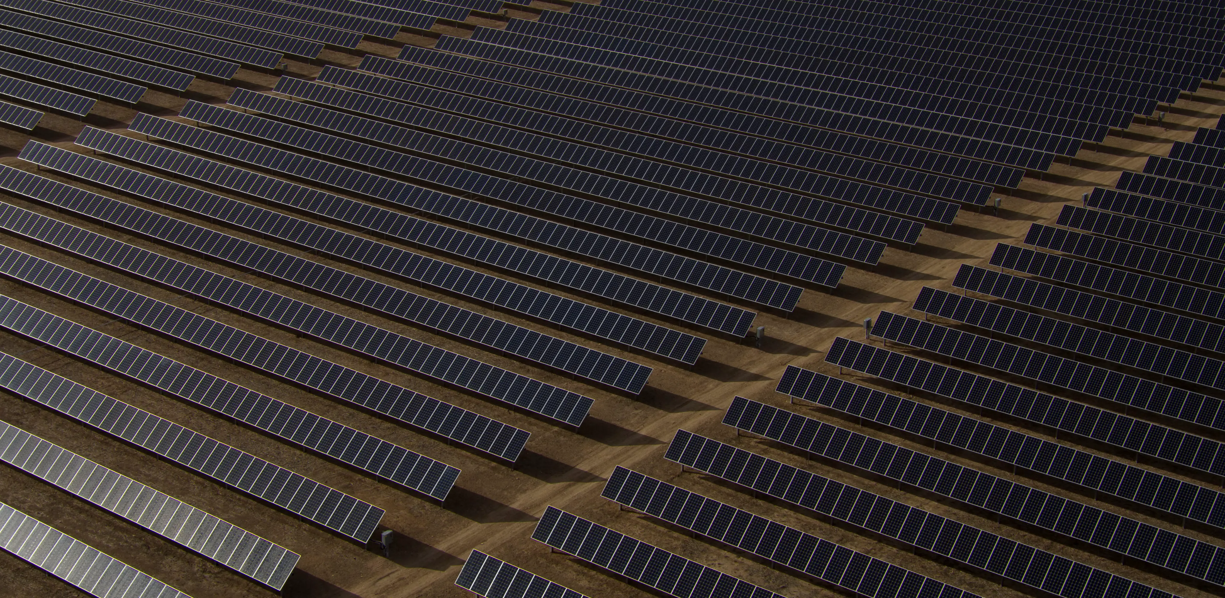 Rows of solar panels in a large solar farm.
