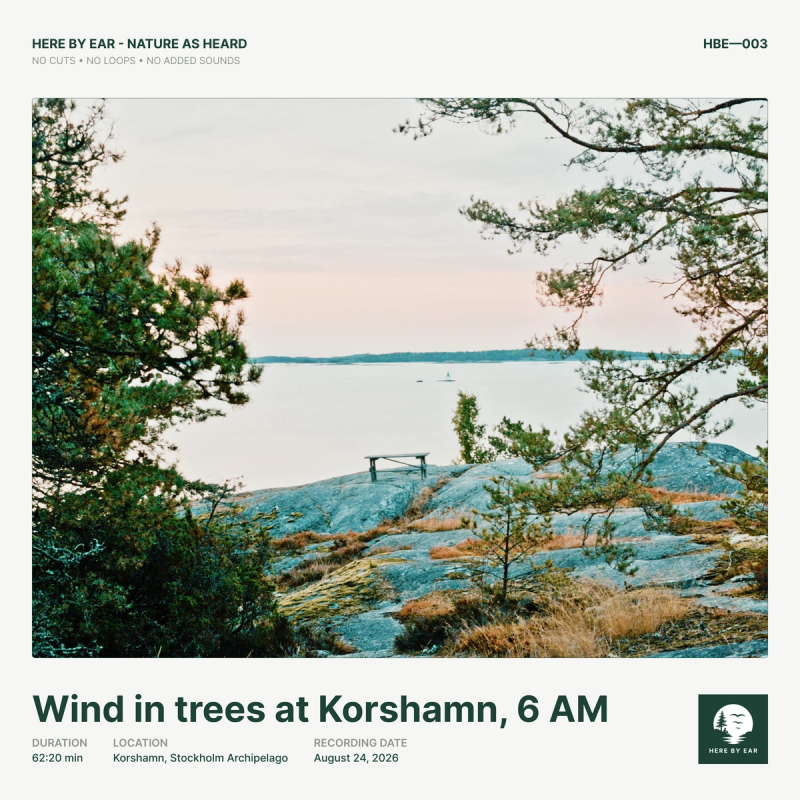 Wind in trees at Korshamn, 6 AM - HBE-003 Album Cover