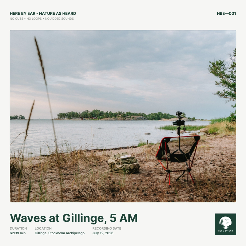 Waves at Gillinge, 5 AM - HBE-001 Album Cover