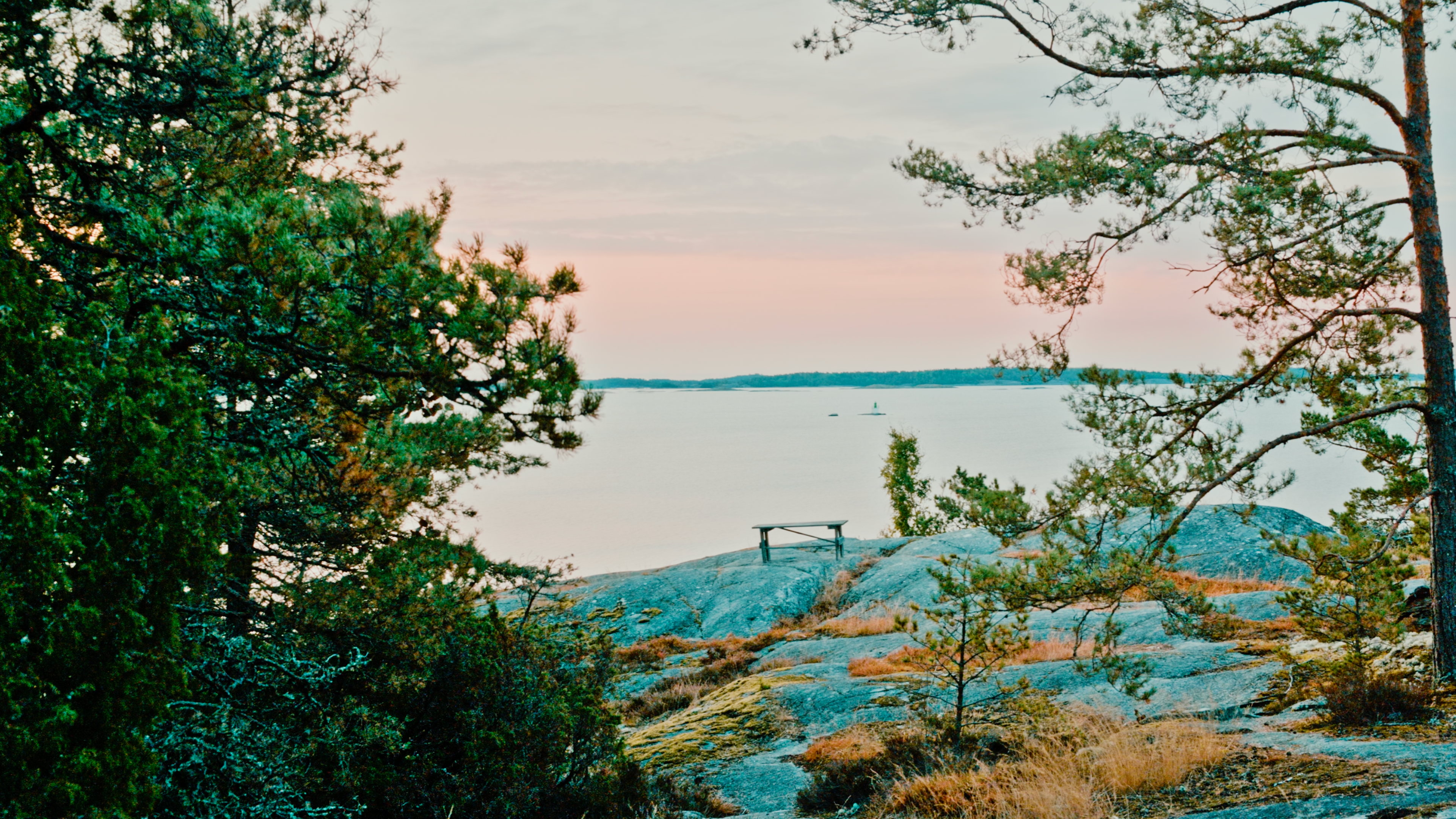 Wind in trees at Korshamn, 6 AM