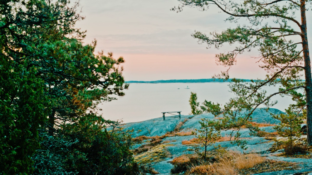 Wind in trees at Korshamn, 6 AM