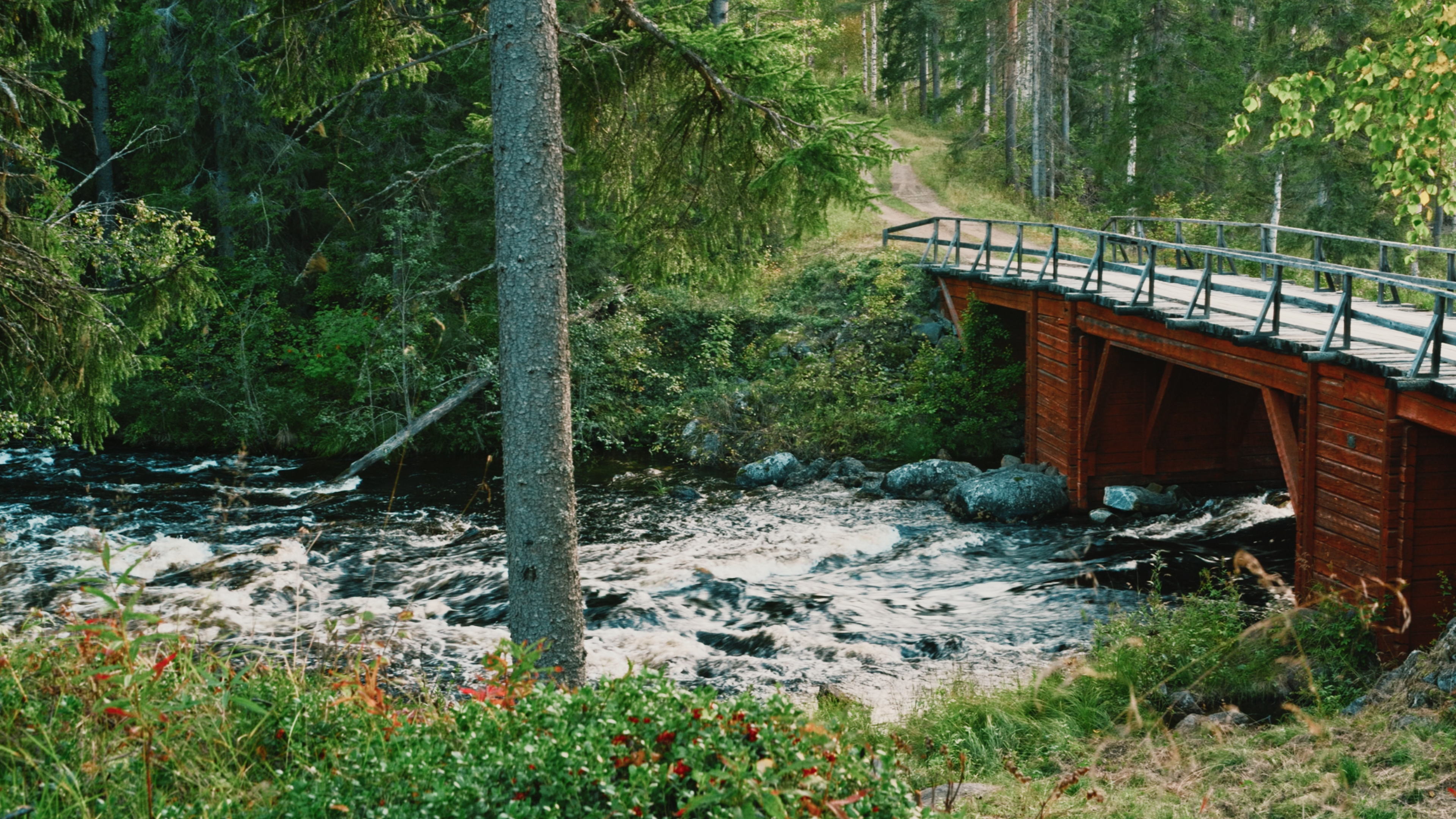 Rushing river in Åträsk, 6 PM
