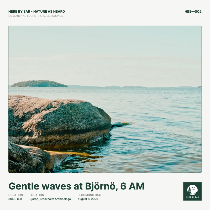 Gentle waves at Björnö, 6 AM - HBE-002 Album Cover