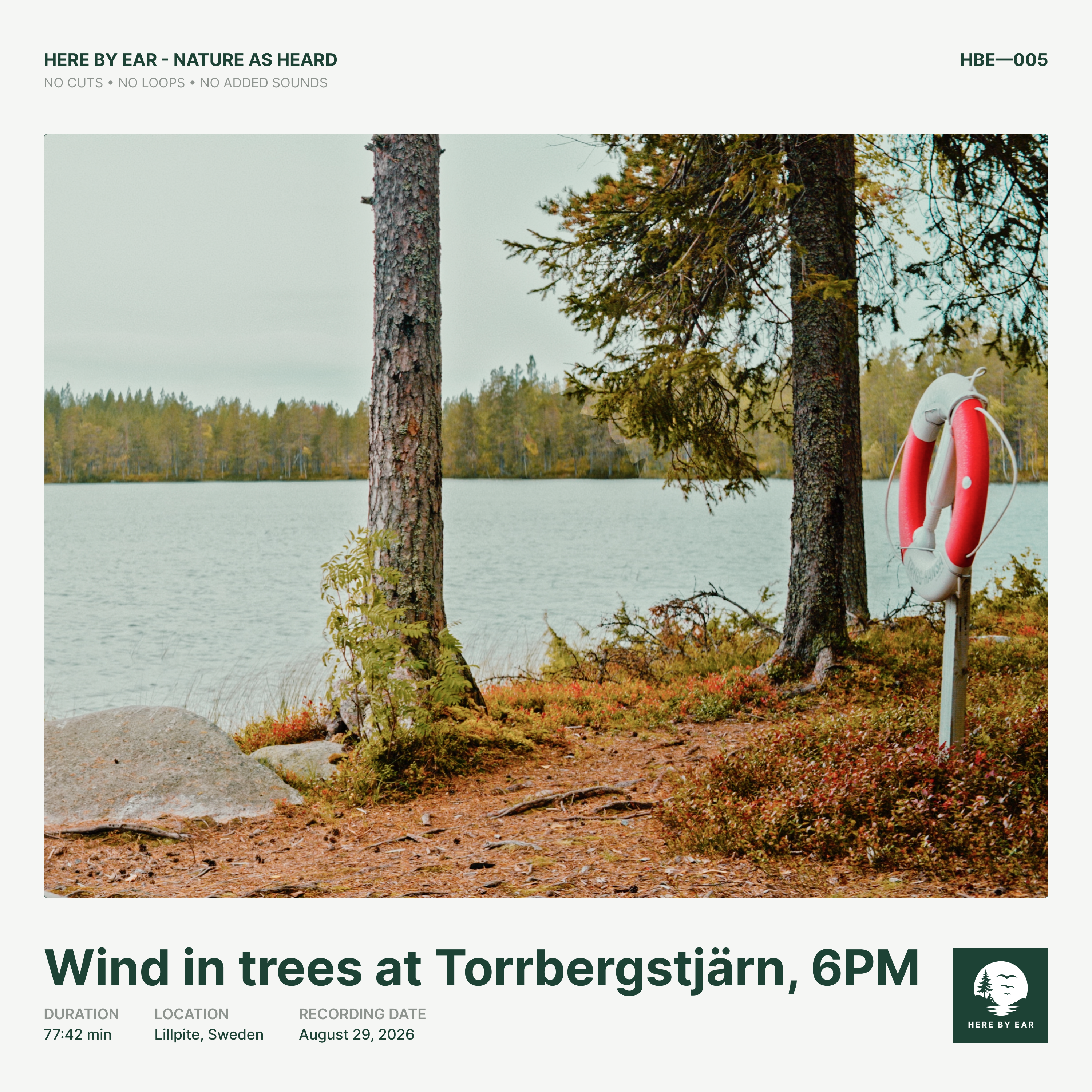 Wind in trees at Torrbergstjärn, 6 PM - HBE-005 Album Cover