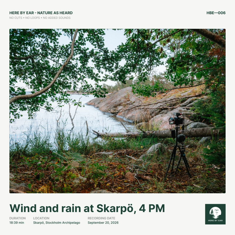 Wind and rain at Skarpö, 4 PM - HBE-006 Album Cover