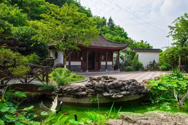 Baliakandi Rooftop Garden