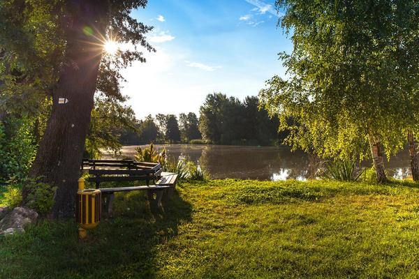 Dhaka Courtyard Design