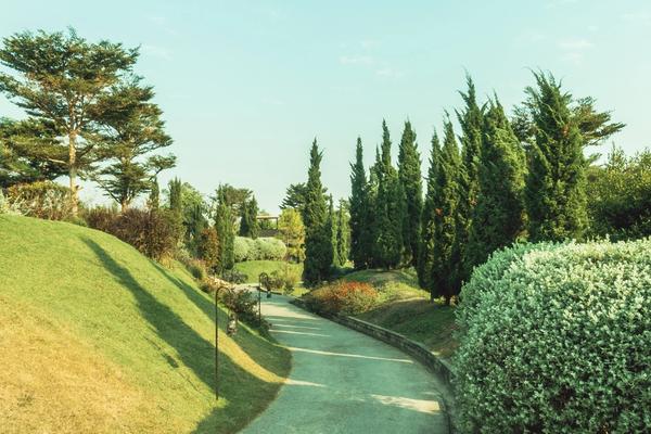 Residential Garden Redesign