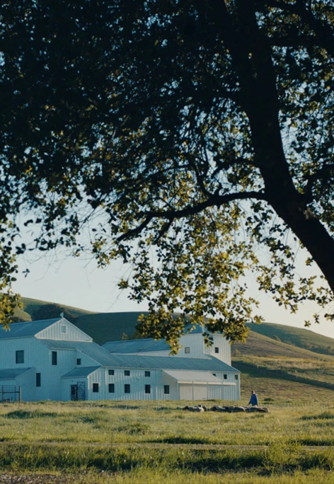 Exterior view of the Eames Ranch where the Eames Institute of Infinite Curiosity is located amidst a sea of rolling hills in Sonoma County, California.
