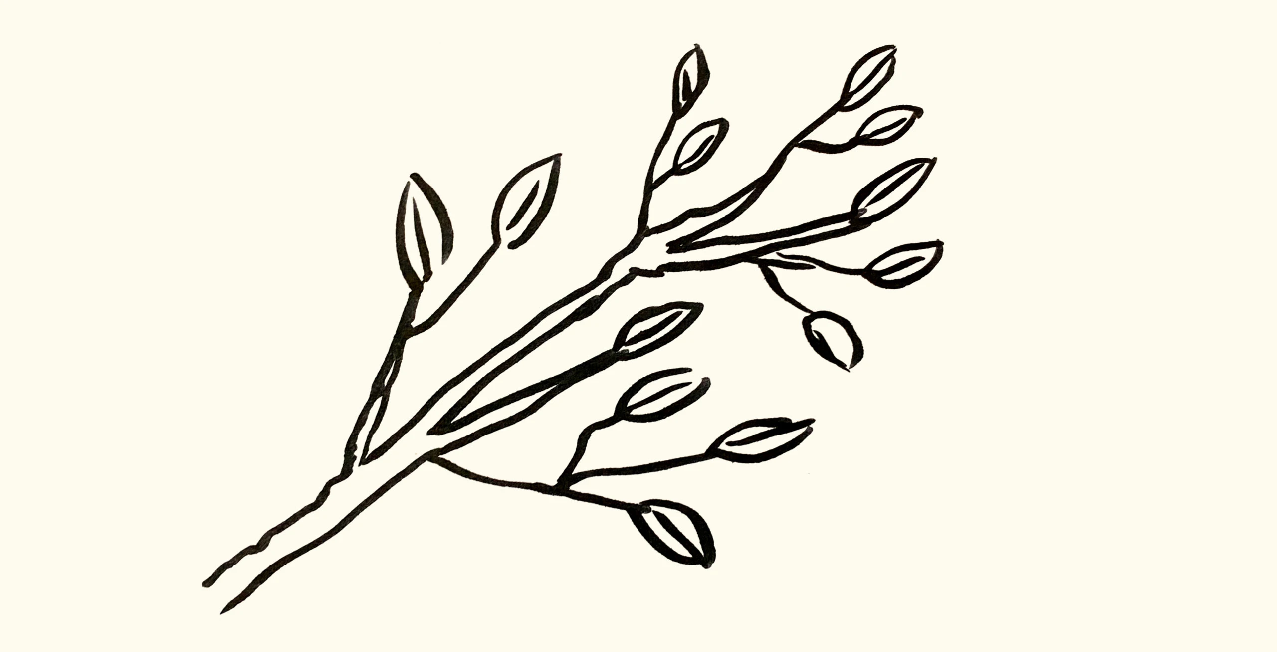 Illustration of a large branch with many leaves by designer and paper engineer Kelli Anderson.