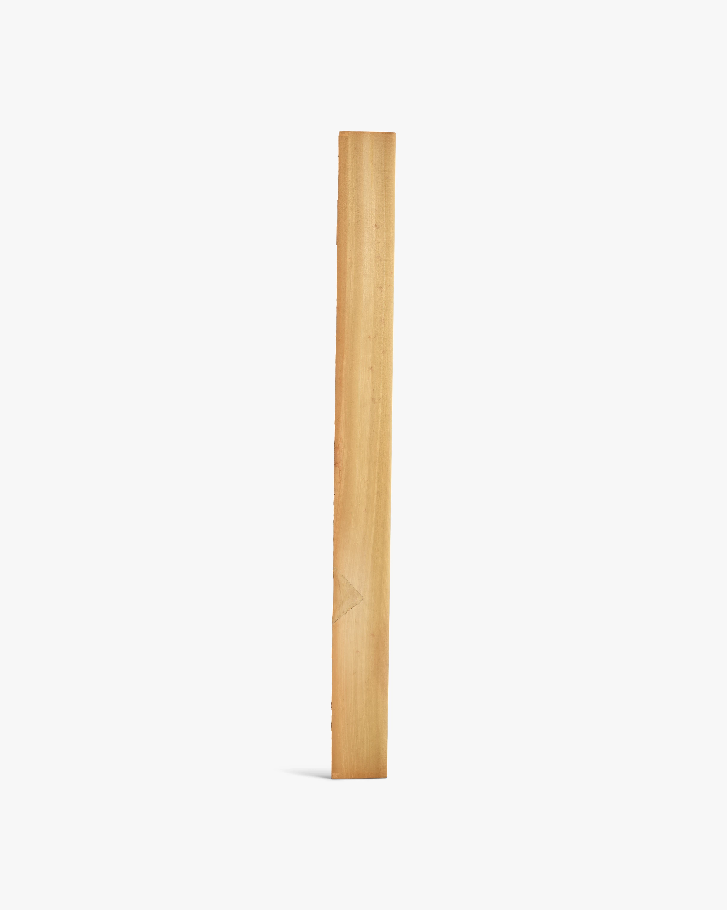 Front view of a birch airplane prototype designed by Ray and Charles Eames in that measures at just over five feet tall.