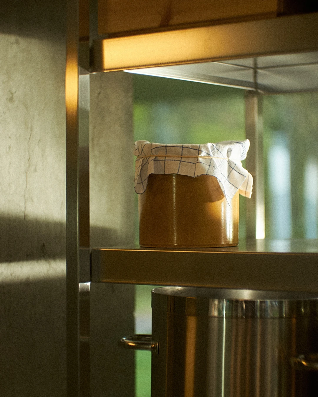 Shelf with jars and equipment inside the lab of food scientist, fermenter, and recipe developer David Zilber