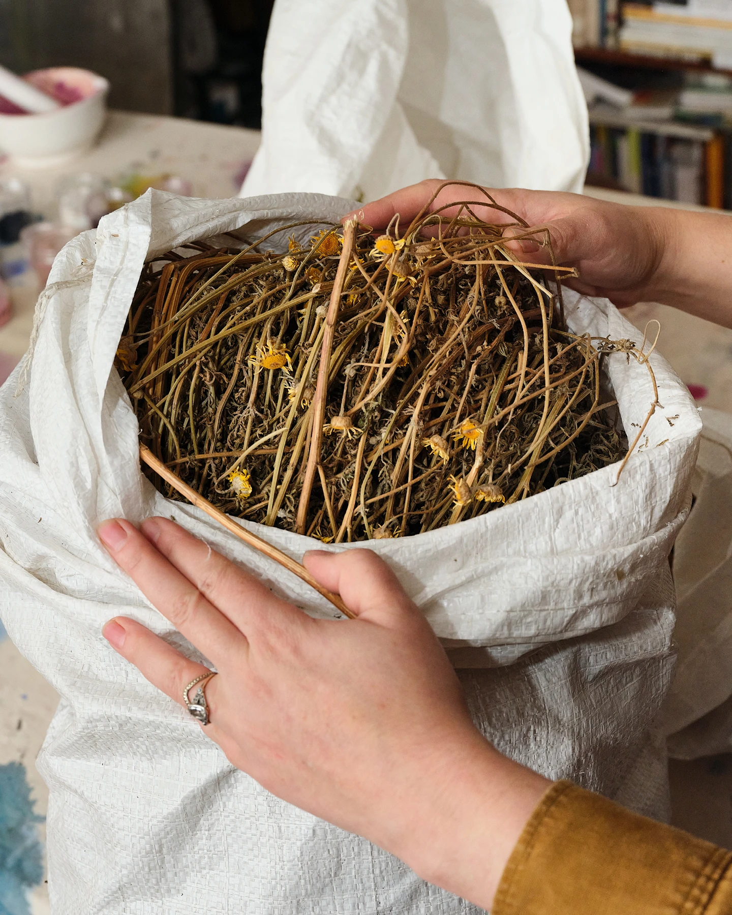 Abstract artist Natalie Stopka creates pigments and dyes primarily from plants that she grows. Shown here Natalie is holding a bag filled with plants.