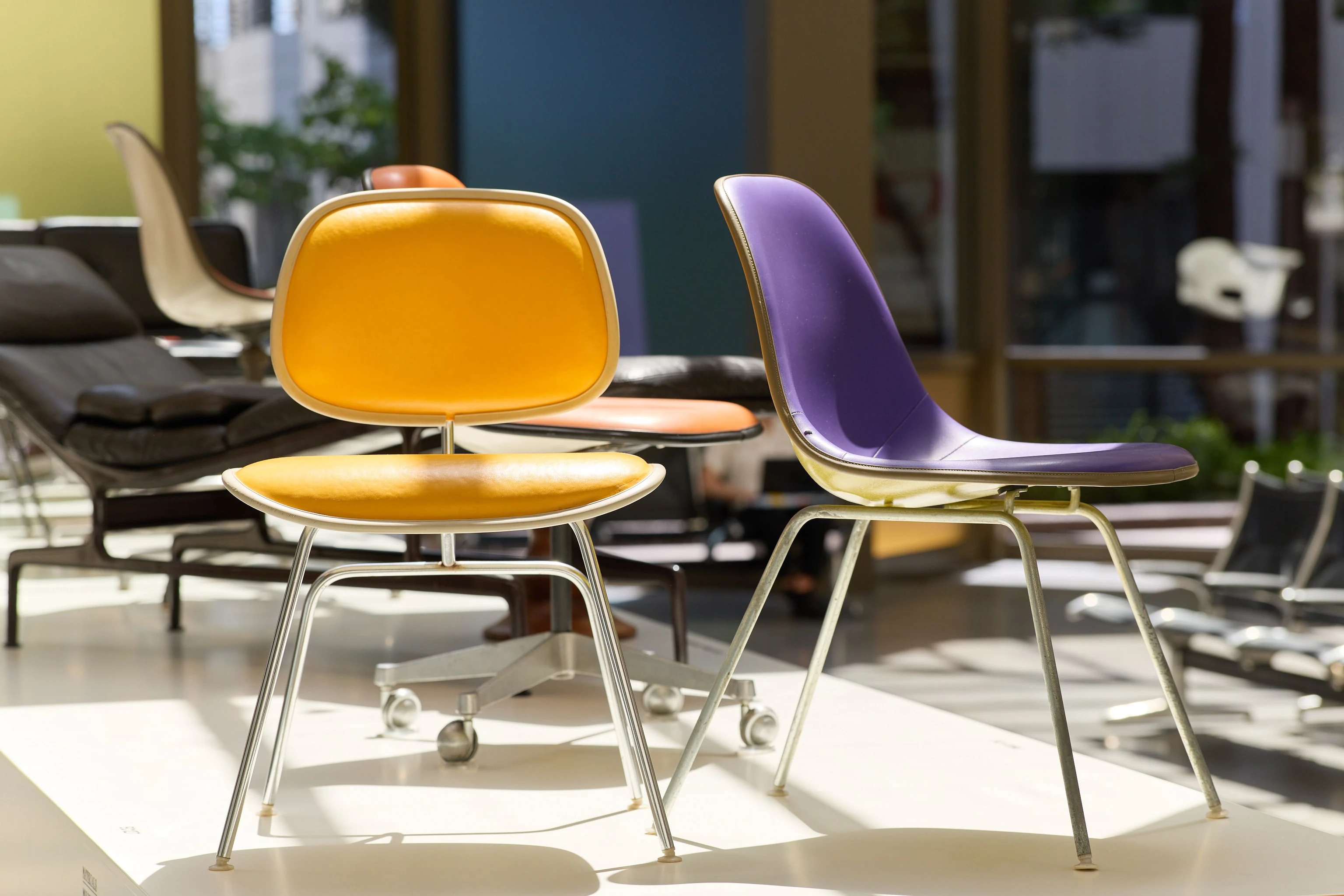 A yellow EC127 and purple DSG chair, just two of the many Eames chairs at the Past as Prologue exhibition.