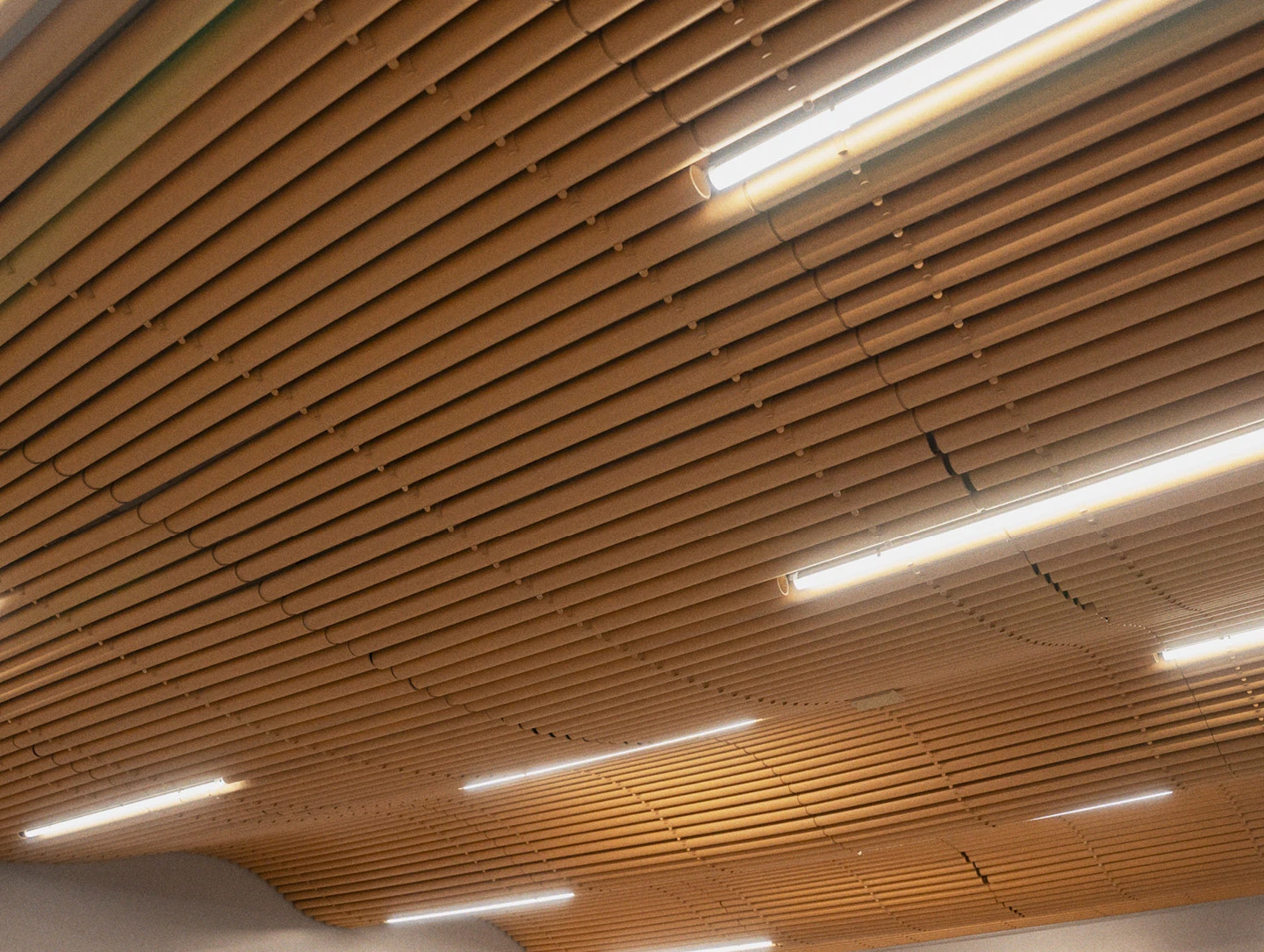 Recycled paper tube ceiling at the office of Shigeru Ban Architects.