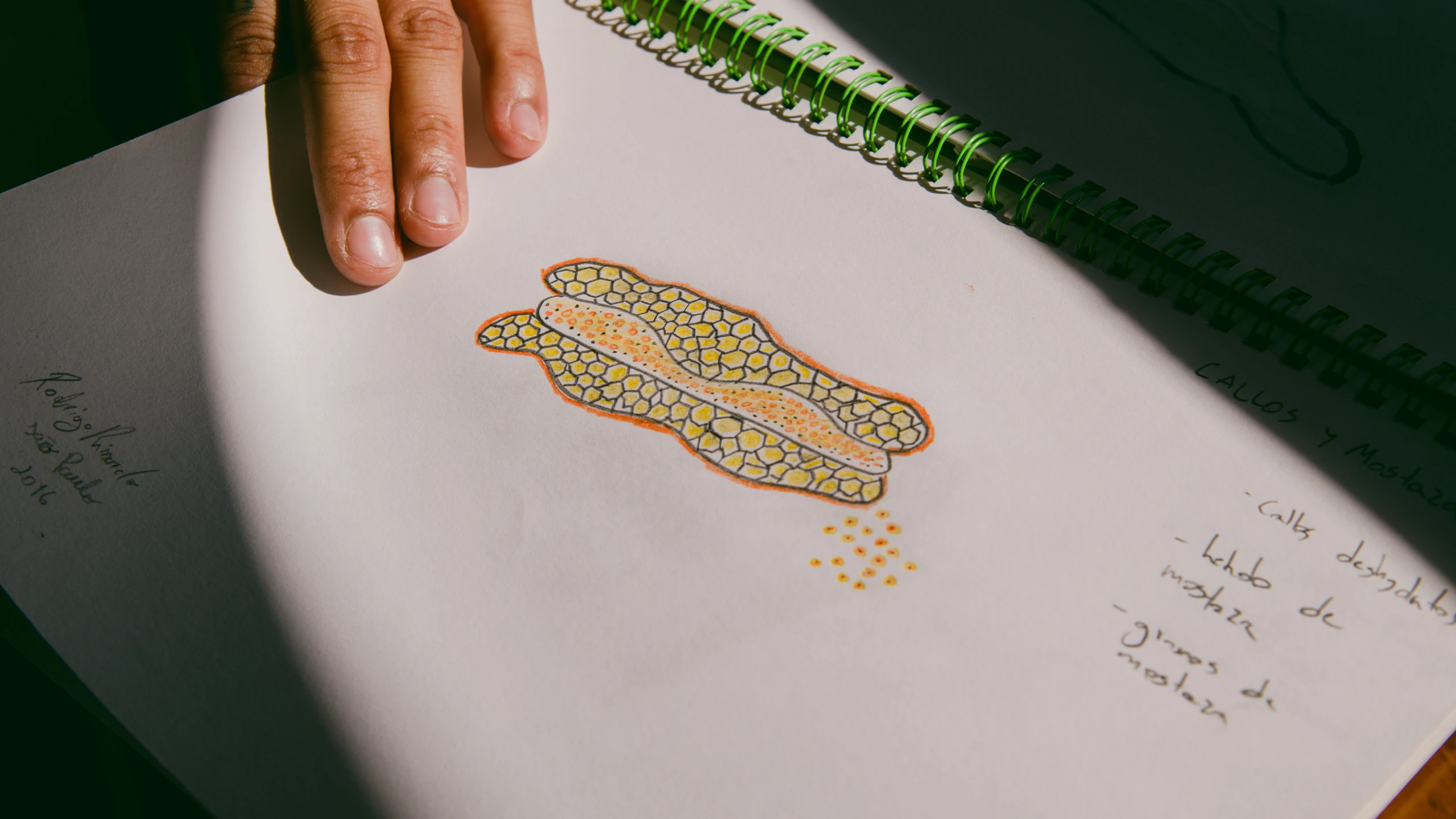 One of chef Andres Florez's many sketches for the menu at Oakland, California’s Snail Bar, Kazam! Magazine.