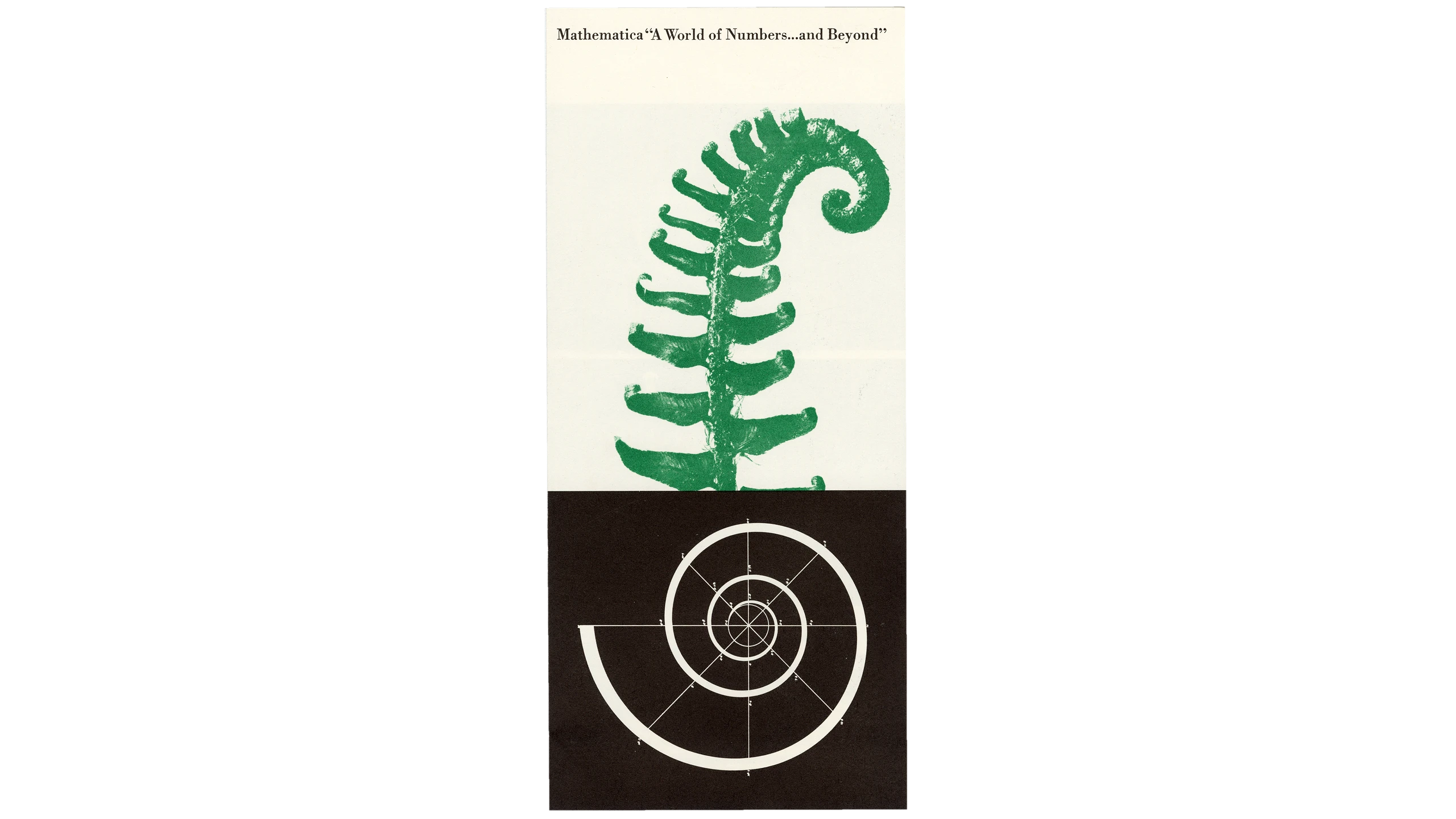 Brochure cover for the Eames Mathematica Exhibition which features a fern frond and a nautilus shell diagram.