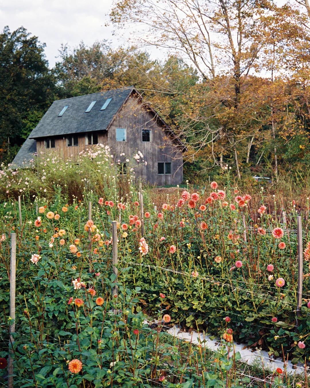 A rustic small building surrounded by flowers at Four Root Farm in East Haddam, Connecticut.
