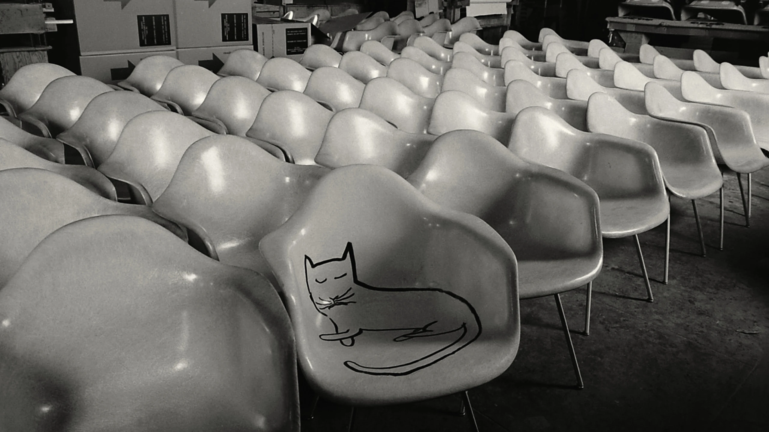 Saul Steinberg’s cat chair playfully posed among several early models of Eames fiberglass chairs being readied for shipping.
