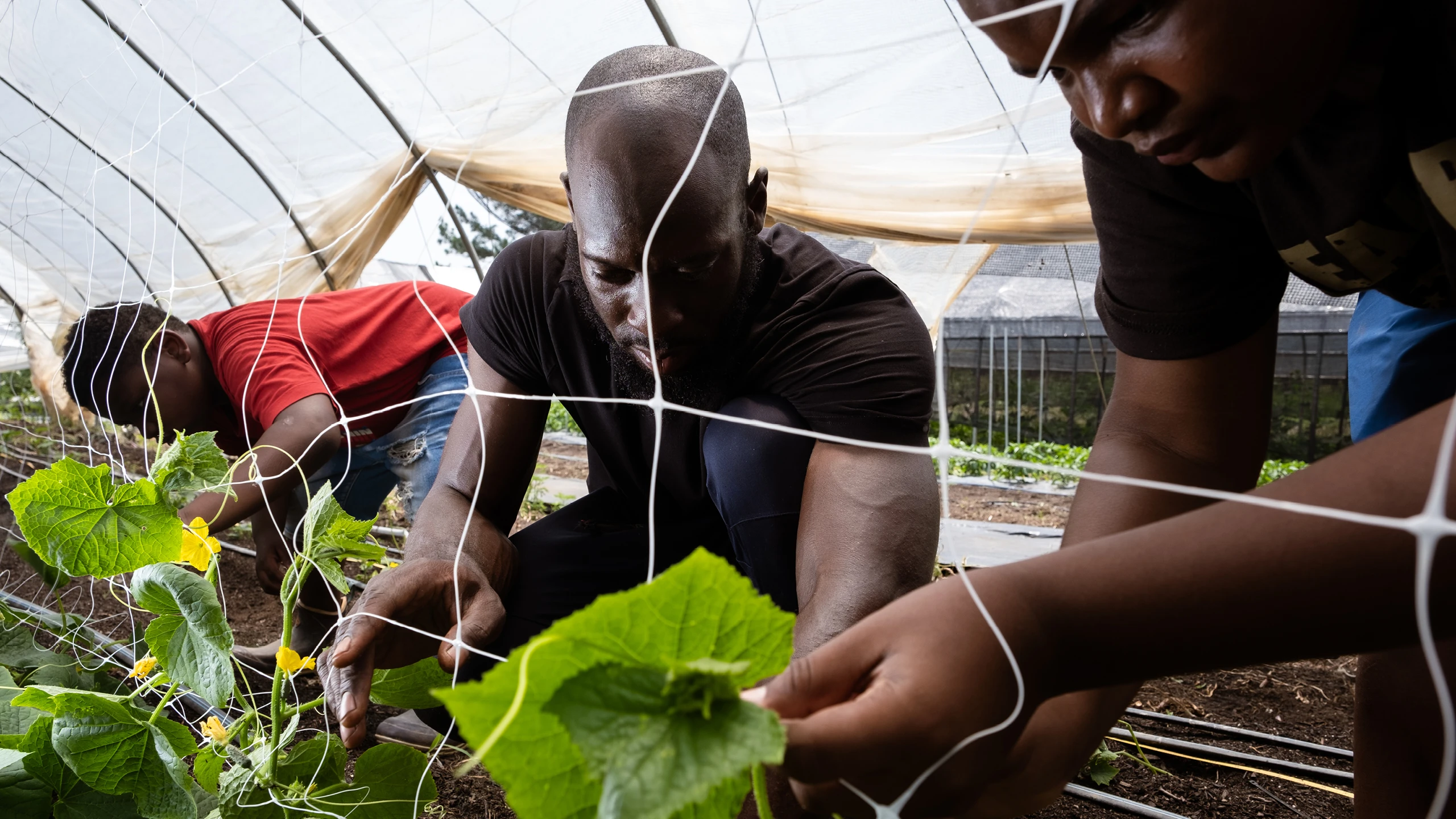 Efland North Carolina Sankofa Farms founder Kamal Bell, Kazam! Magazine.