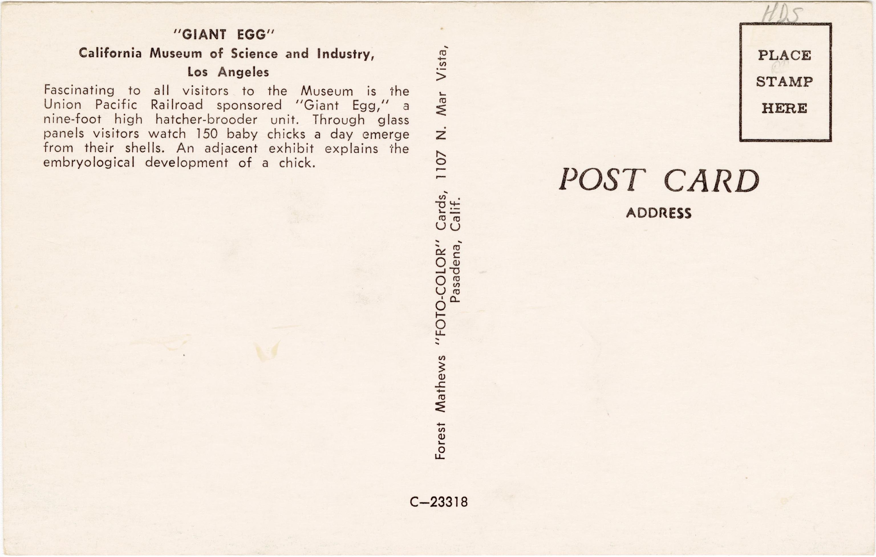 Postcard of the Giant Egg installation from the Eames Mathematica exhibition which hatches 150 eggs as baby chicks daily.