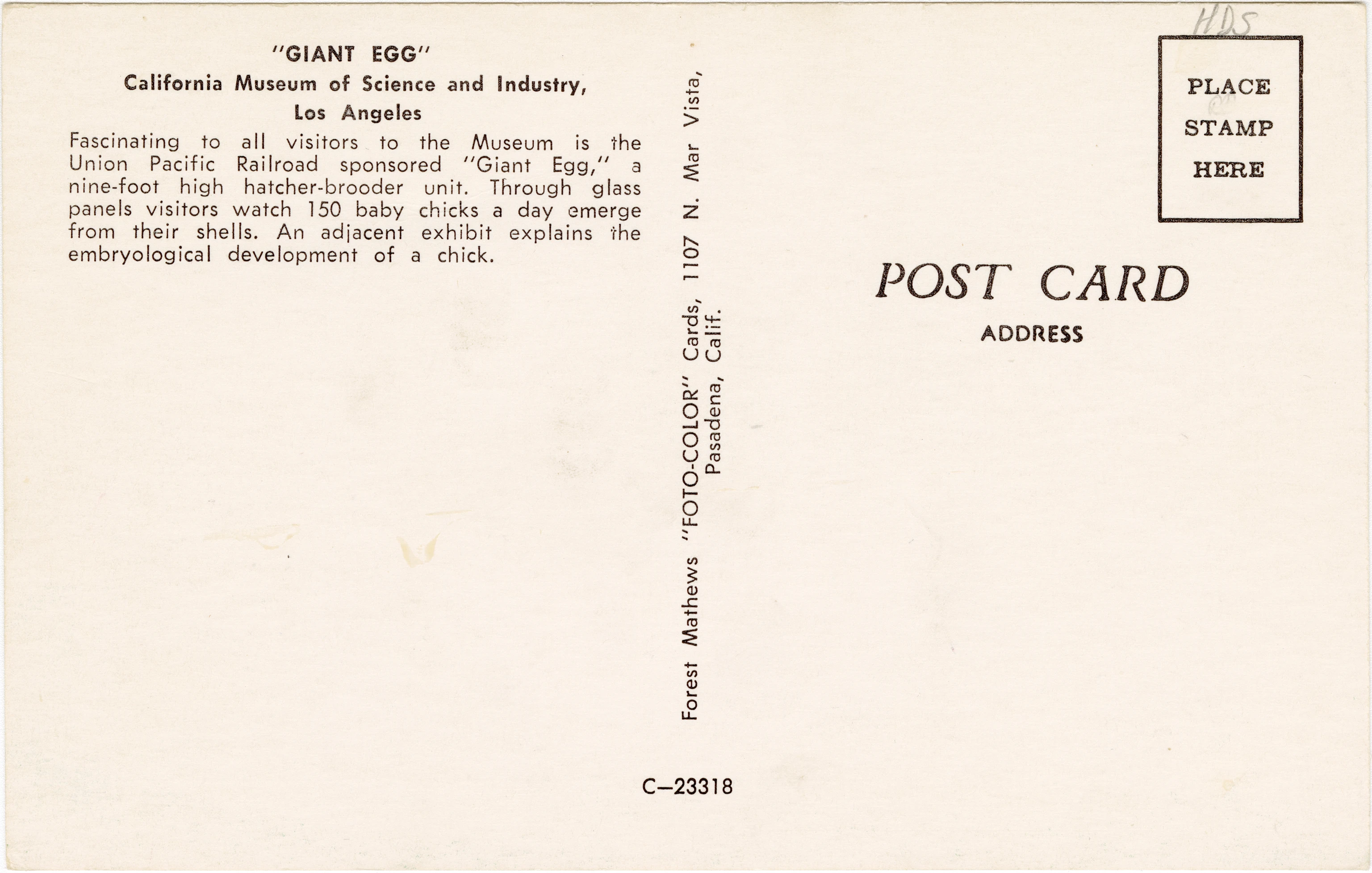 Postcard of the Giant Egg installation from the Eames Mathematica exhibition which hatches 150 eggs as baby chicks daily.